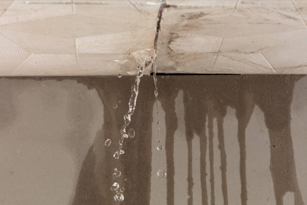 Professional Flood Damage Cleanup technician working in Danville, IL